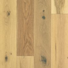 Shaw Floors Floorte Exquisite Harvest Oak 02056_BF700
