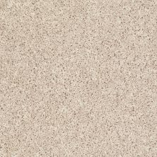Shaw Floors Roll Special Bp110 Frosted Glass 00103_BP110