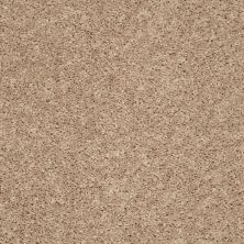 Shaw Floors Clayton Homes Acme Court Natural Flax 00105_C002Y