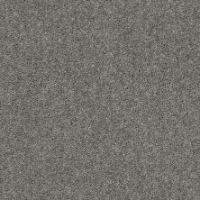 Shop Shaw Floors Clayton Homes Almond Ridge Ii Mystic Heather 00541 C004y Carpet Gillenwater Flooring