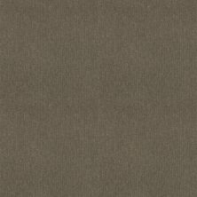 Shaw Floors Clayton Homes Ellerman Way Abbey Stone 00771_C059Y