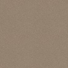 Shaw Floors Century Homes Elliots Manor I Sandy Nook 00104_C083H