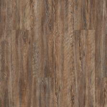 Shaw Floors Clayton Homes Ainsly Park Tattered Barnbo 00717_C100Y