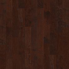 Shaw Floors Clayton Homes Sargeant Daly Evening Shade 00634_C106Y