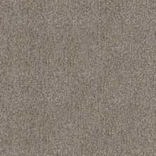 Shaw Floors Century Homes Symphony Valley Natural Taupe 00111_C123H