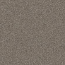 Shaw Floors Century Homes Harvest Tonal Barely There 00720_C124H