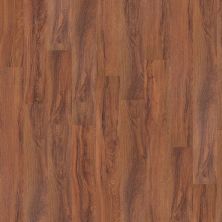 Shaw Floors Clayton Homes Maedell Plank St. Louis 00618_C141Y