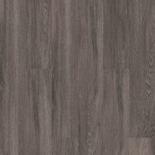Shaw Floors Clayton Homes Maedell Plank Dublin 00763_C141Y