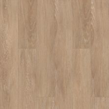 Shaw Floors Clayton Homes Major Ridge 6 Chelsea 00309_C143Y
