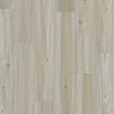 Shaw Floors Clayton Homes Mcwilliams Washed Oak 00509_C170Y