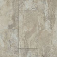 Shaw Floors Clayton Homes Blinde Creek Pebble 01009_C171Y