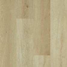 Shaw Floors Clayton Homes Augusta River Bend Oak 00296_C172Y
