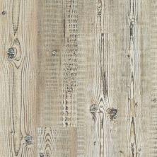 Shaw Floors Clayton Homes Augusta Accent Pine 07063_C172Y