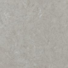 Shaw Floors Clayton Homes East Lake Tile Aker’s Mill 00500_C176Y