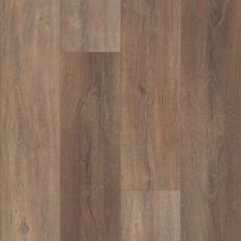 Shaw Floors Clayton Homes Burkett Dr Sorrento 00813_C179Y