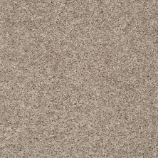 Shaw Floors Clayton Homes Alcot Way Soft Taupe 00501_C184Y