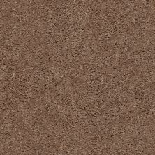 Shaw Floors Clayton Homes Alcot Way Clay 00701_C184Y