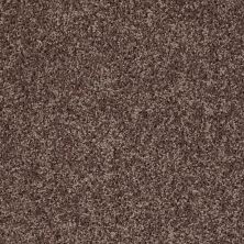 Shaw Floors Clayton Homes Alcot Way Mocha 00704_C184Y