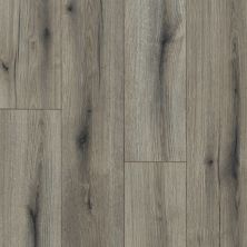 Shaw Floors Clayton Homes Dillon Creek Plus Origin 05041_C231Y
