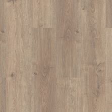 Shaw Floors Clayton Homes Fair Oaks Organic 01031_C234Y