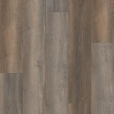 Shaw Floors Clayton Homes Cantrell Ave 9′ Burnley Oak 02901_C315Y