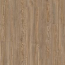 Shaw Floors Clayton Homes Cantrell Ave 9′ Sheff Pine 02906_C315Y