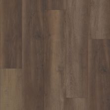 Shaw Floors Clayton Homes Cantrell Ave 9′ Prince Oak 02907_C315Y