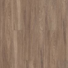 Shaw Floors Century Homes Meadow Wood Crossing Brussels 00235_C330H