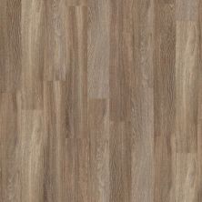Shaw Floors Century Homes Meadow Wood Crossing Seattle 00574_C330H