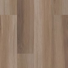 Shaw Floors Century Homes Diamond Crest Plus Hazel Oak 00762_C338H
