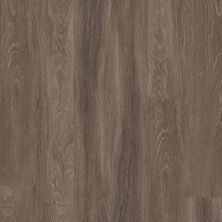 Shaw Floors Century Homes East Garrison Plus Mila 00753_C340H