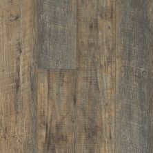 Shaw Floors Century Homes Santa Ana Plus Pino 00146_C343H