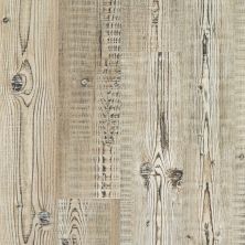 Shaw Floors Century Homes Pearson Grove Accent Pine 07063_C354H