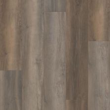 Shaw Floors Century Homes Coolidge Country Burnley Oak 02901_C368H