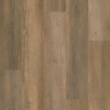 Shaw Floors Century Homes Coolidge Country Crystal Oak 02903_C368H