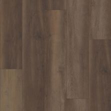 Shaw Floors Century Homes Coolidge Country Prince Oak 02907_C368H