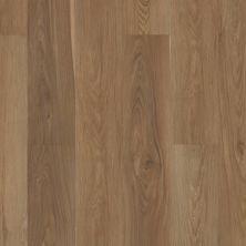 Shaw Floors Century Homes Lorson Ranch Olive Tree 06013_C377H