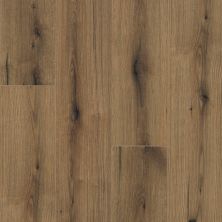 Shaw Floors Century Homes Sires Ridge Pioneer 08009_C406H