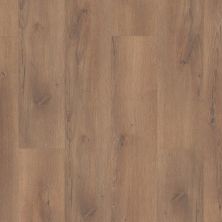 Shaw Floors Century Homes Casual Fashion Expressive Brown 06006_C410H