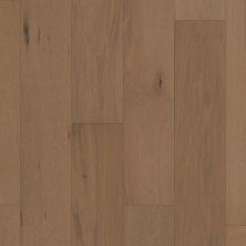 Shaw Floors Clayton Homes Aimee Lane Brioche 07099_C603Y