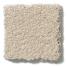 Shaw Floors Caress By Shaw Cashmere II Lg Suede CC10B_00127