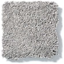 Shaw Floors Value Collections Cashmere I Lg Net Birch Bark 00522_CC47B