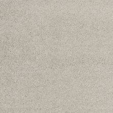 Shaw Floors Value Collections Cashmere II Lg Net Sterling 00511_CC48B