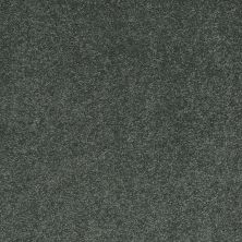 Shaw Floors Value Collections Cashmere III Lg Net Emerald 00324_CC49B