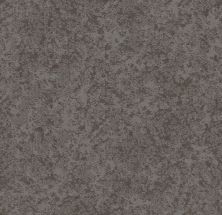 Shaw Floors Caress By Shaw State Of Mind Grounded Grey 00536_CC72B
