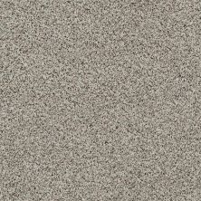 Shaw Floors Value Collections Angora Classic I Net Dala 0134A_CC86B