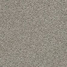 Shaw Floors Value Collections Angora Classic I Net Lamb 0135A_CC86B