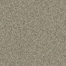 Shaw Floors Value Collections Angora Classic I Net Dartmoor 0136A_CC86B