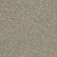 Shaw Floors Value Collections Angora Classic I Net Cormo 0150A_CC86B