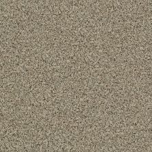 Shaw Floors Value Collections Angora Classic I Net Raw Sugar 0252A_CC86B
